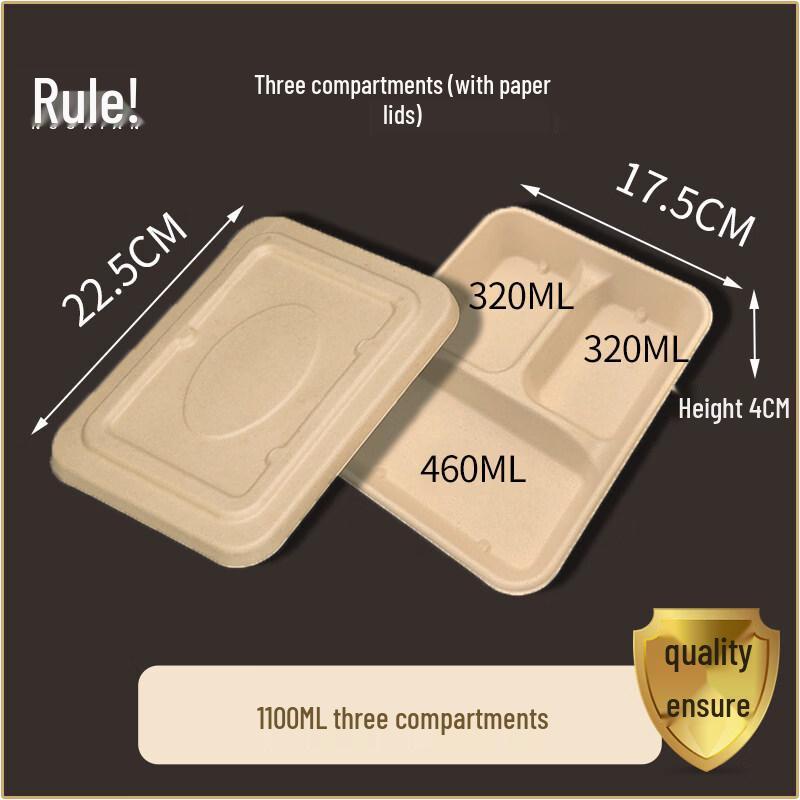 ZISIZ Disposable Multi-Compartment Paper Pulp Lunch Box