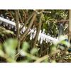 GARDENA Taille-haie électrique PowerCut 700/65 700 W 9835-20