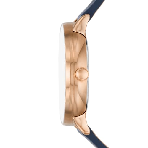 Skagen Watch RIIS SKW3090 Ladies Blue