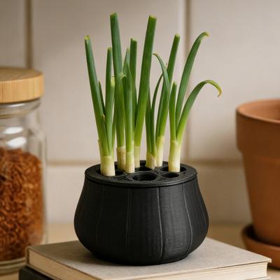 Countertop Scallion Planter Hydroponic Regrow Station with Detachable Lid Kitchen Regrowing Planter for Easy Scallion Regrowth
