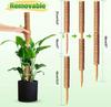 2pcs Moss Pole for Climbing Plants Coir Totem Plant Climbing Vine Coconut Palm Stick Grow Upward Plant Support Poles