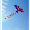 with Line Parrot Kite Cartoon Animal Outdoor Fun Sports New Parrot Flying Toys  for Kids