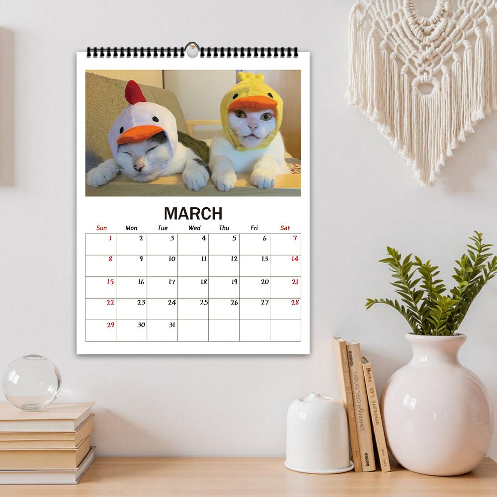 1pc, 2026 High-definition Cat Calendar - Funny Cats, 12 different designs, calendar, Birthday, Christmas, New Year Gifts
