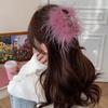 Elegante Feder Große Haarklammer für Damen Mädchen Mode Haarspangen Vielseitige Haiklammer Exquisite Haaraccessoires Geschenke