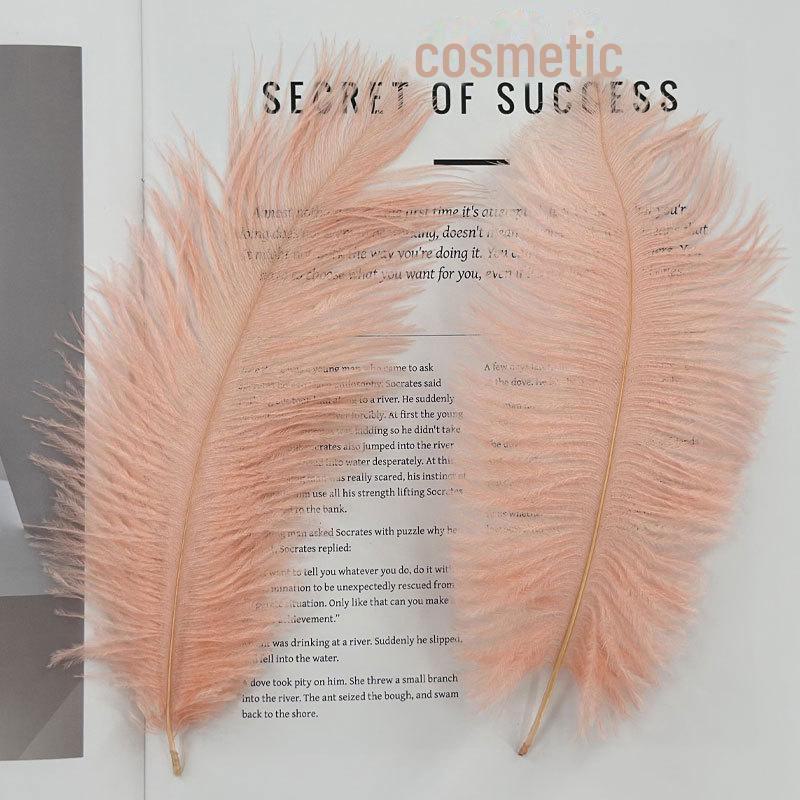 Barevné zavírače na dorty z pštrosího peří a příslušenství