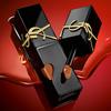 Yves Saint Laurent The Inks Vinyl Cream,High Shine Lip Stain,Long-Lasting Lip Gloss,Without stickiness