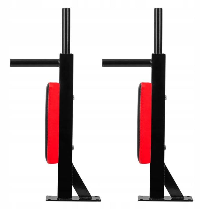 Wall-Mounted Exercise Rails