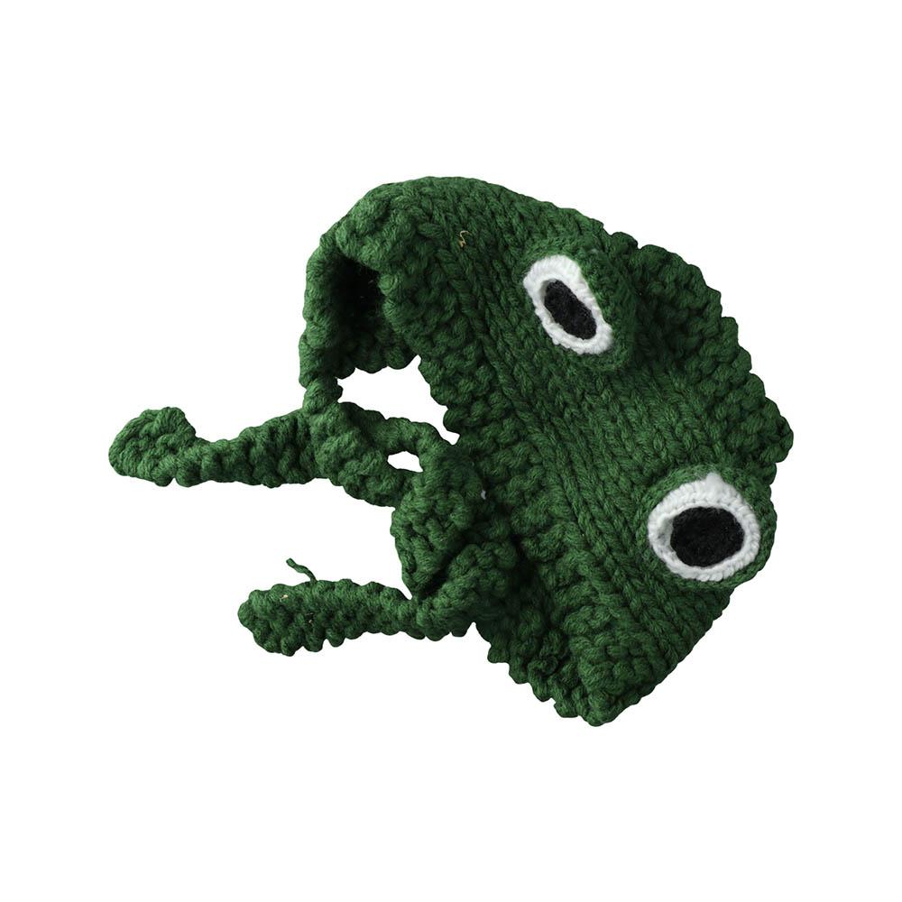Costume Autumn Big Eye Frog Cartoon Knitted Winter Beanie Hats Knitted Caps Frog Hat Ear Protective
