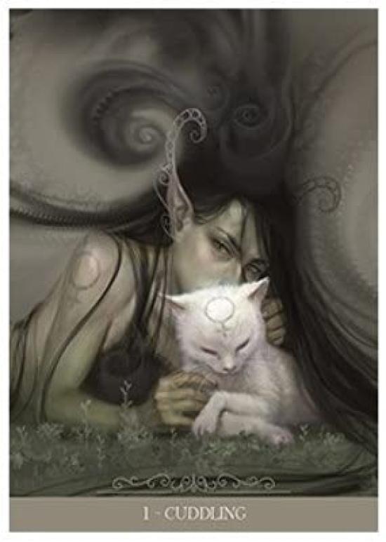 Kancharo Oracle Card Tarot Card Reading Fantasy Cats Oracle Includes Japanese Oracle Card Basic Instructions Pouch 23-Card Set, [Barbieri Cards] &