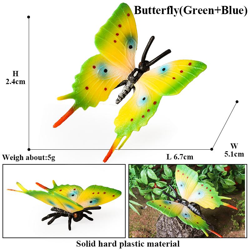 Oenux Insect Animals Model Monarch Actias Ningpoana Swallowtail Butterfly Growth Cycle Garden Figurine Education Kid Toy Gift