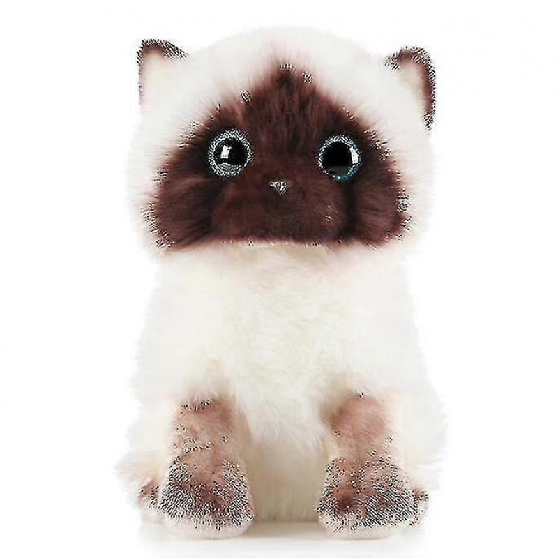 Simpatici Peluche Gatto Ragdoll
