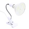 3 Colors LED Skin Rejuvenation Light Professional Therapy Acne Wrinkle Removal Holder