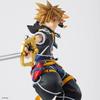 Kingdom Hearts II Formism Sora
