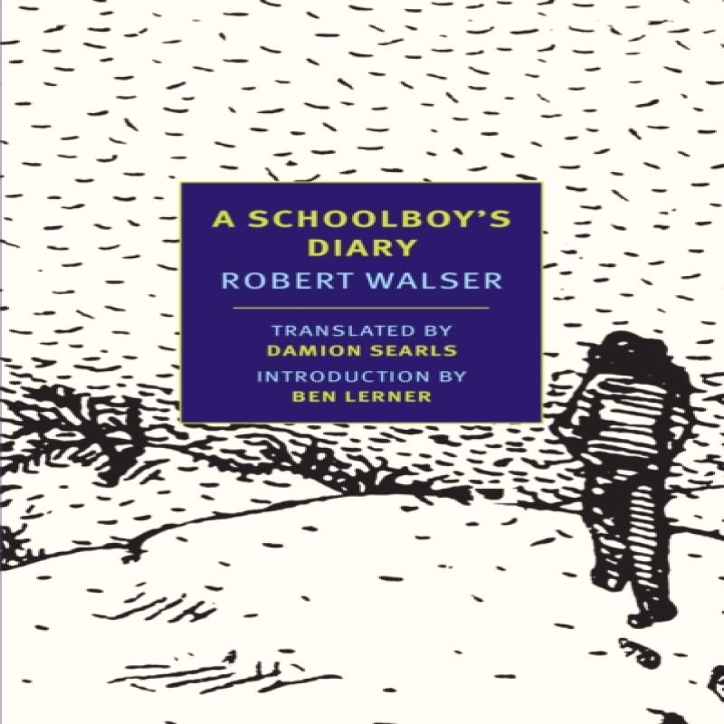 A Schoolboys Diary by Robert Walser Paperback Book 9781590176726