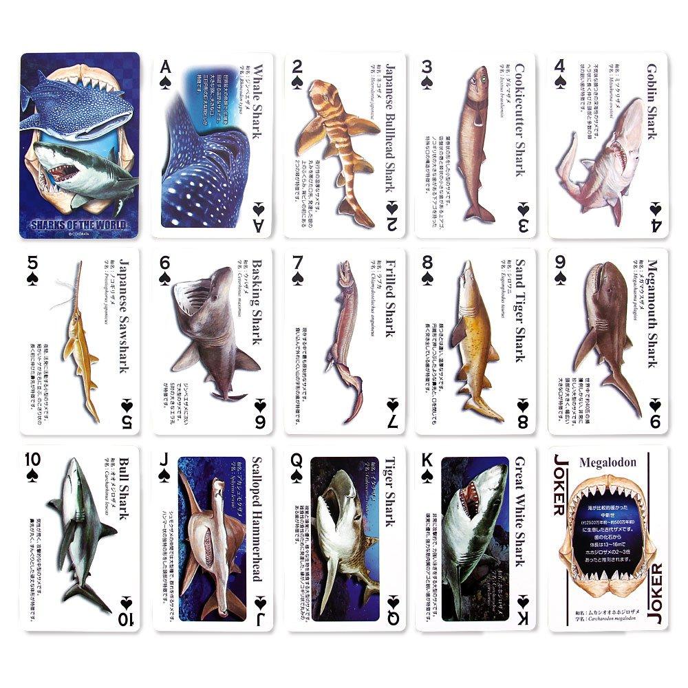 Carolata Real Shark Learning Playing Cards 14 Types With Quiz Animal Toys Educational Toys Playing Cards Games Encyclopedia Gifts Presents (Shark / /