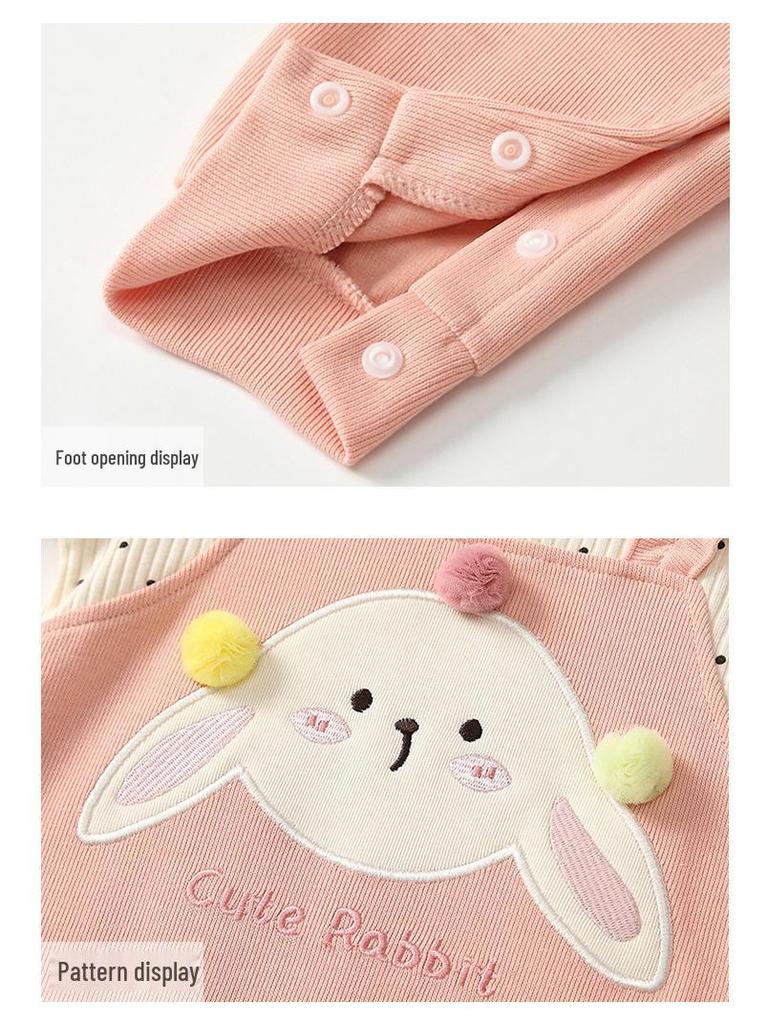 Newborn Girl Rabbit Two-Piece Harem Romper - Autumn Jumpsuit