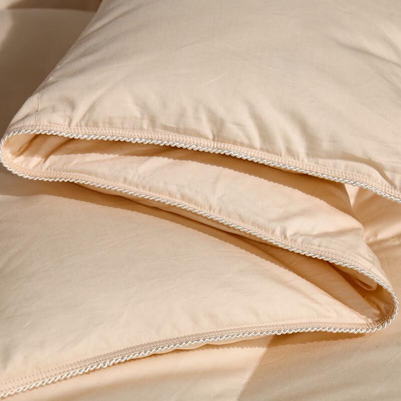 Yamian Premium 90% White Goose Down Winter Quilt