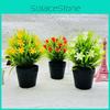 Small Plant Orchid Plastics Potted Plant Window Dressing For Hotel Decor