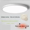 OEING Smart LED Ceiling Light