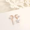 Rose Gold Plated Star and Moon Fringed Stud Earrings Female Korean Version Simple Creative Light Luxury Earrings Ear Jewelry