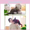 Color Changing Lizard Plush Toy Stuffed Animal Doll Funny Creative Gift Wholesale Factory Night Market