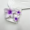 3Pcs Colorful Gradient Color Flower Hair Claws Sweet Barrettes  Shark Clip For Women Girls Beach Hair Accessories Gifts