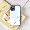 Cloudy Bunny Phone Case For iPhone 17,16,15,14,13,12,11 Plus,Pro Max,XS,Colorful Silver Phone Case Funda Cover