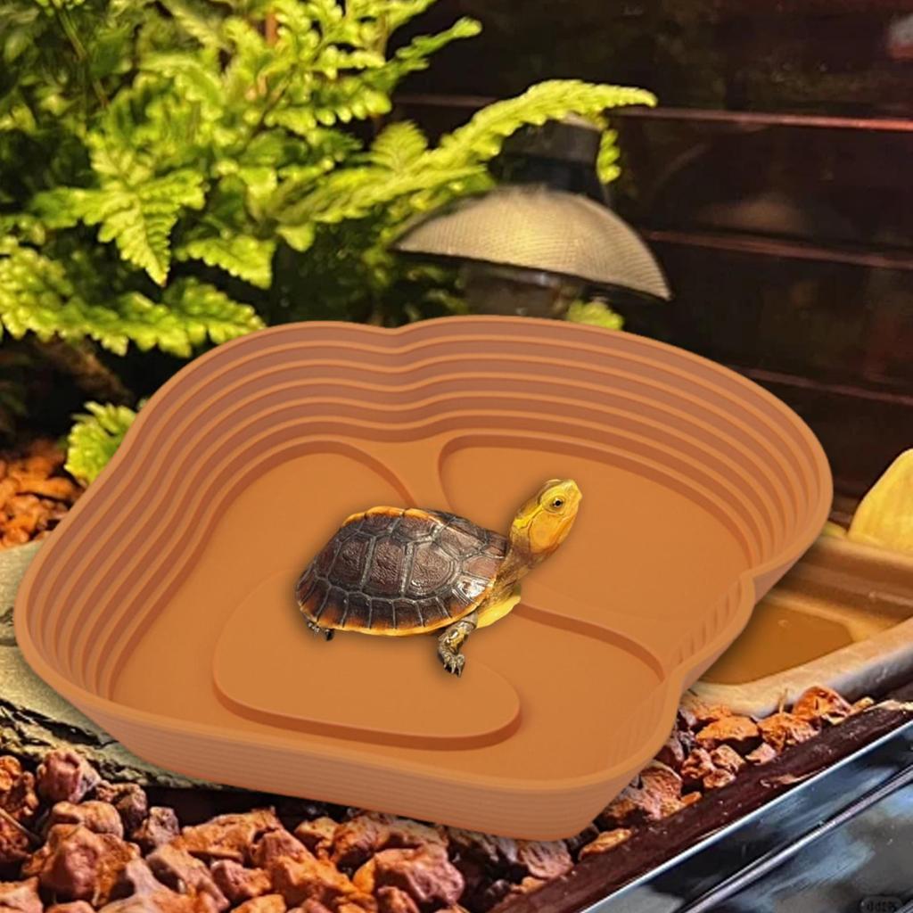 Reptile Water Dish Turtle Bath Pool PP Material Terrarium Feeding Plate User Friendly for Tortoise Accessories Setup