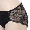 BARBARA Lace Triangle Panty 2color  Abp4455 