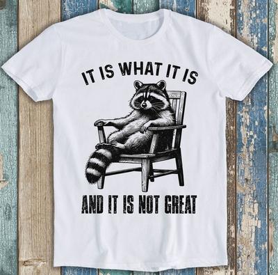È quello che è E Non È Fantastico Meme Procione Divertente Regalo Maglietta T Shirt 1735