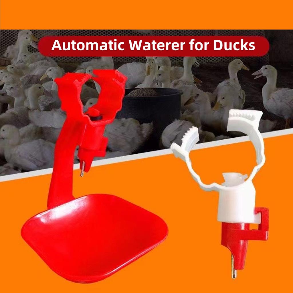 22mm Interface Square Tube Hanging Cup and Stainless Steel Drinking Nozzle Kit 360 Degrees Rotatable Duck Goose Waterer 1 Set