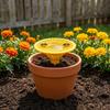 Plastic Bee Water Feeder Ground Plug Insect Water Cup Portable Bee Drinking Device  for Garden