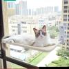 Cat Hammock Bed: Window Suction Cup Sunbathing Lounge for Pets