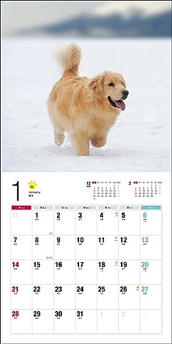 2024 Calendar Golden Retriever (Seibundo Shinkosha Calendar)