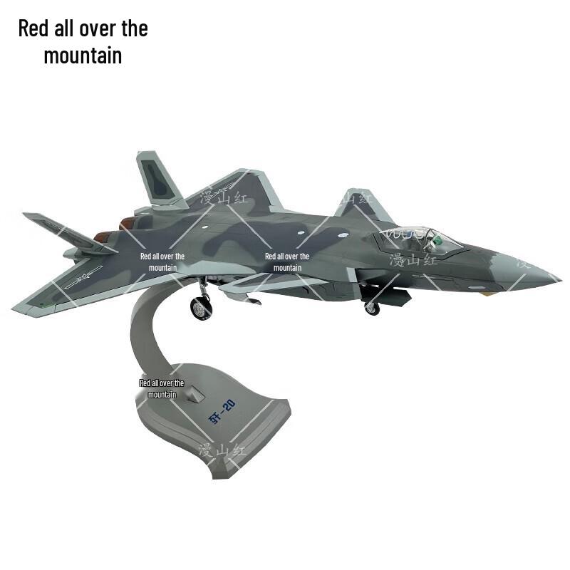 J-20 Fighter Jet Alloy Model