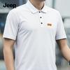 Men's Summer Quick Dry Cooling Polo Shirt