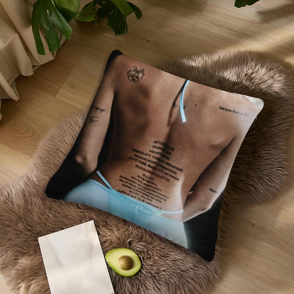 NNessa BBarrett Aftercare Cushion Cover Living Room Accent Couch Back Support Square Lounge Restful Nap Companion Pillow Case