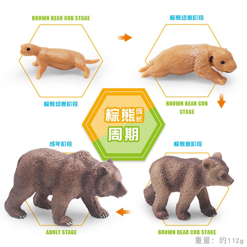 Simulation Forest Animal Brown Bear Growth Cycle Model Brown Bear Growth Transformation Process Static Ornament Toy