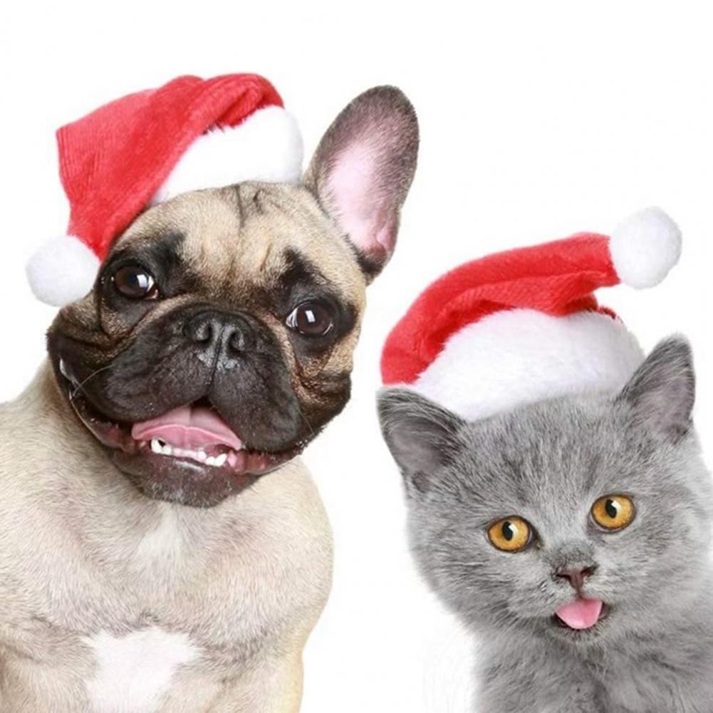 Christmas Pet Hat Festive Pet Hat Festive Pet Santa Hat Set for Dogs Cats Fleece Costume Accessories for Holiday Cosplay