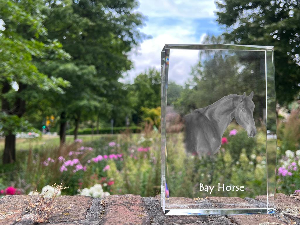 Bay Horse – Crystal with a picture of a horse, photo in glass | Art-Dog