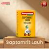 Baidyanath Saptamrit Lauh Ayurvedic Iron Tablets for Eye Care Hair Support Headache Relief