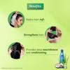 Parachute Advansed Aloe Vera Coconut Hair Oil 250ml For Soft Frizz Free Hair Daily Use Nourishing Non Sticky Conditioning Care