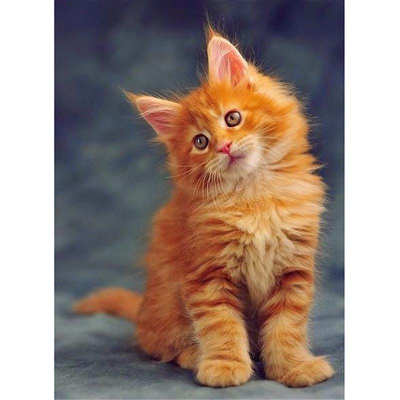 

5D DIY Алмазная картина Тигр, кошка и котенок Алмазная вышивка Набор для вышивки крестом Полный горный хрусталь Мозаика Домашний декор Round 20x30cm