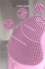 Ultrasonic Warm Facial Cleanser Brush - Silicone Pore Cleaner & Beauty Massager