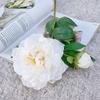 Flexible Artificial Peony Flowers Silk Peony Flower Bouquet 2 Heads Peony Flowers  Living Room