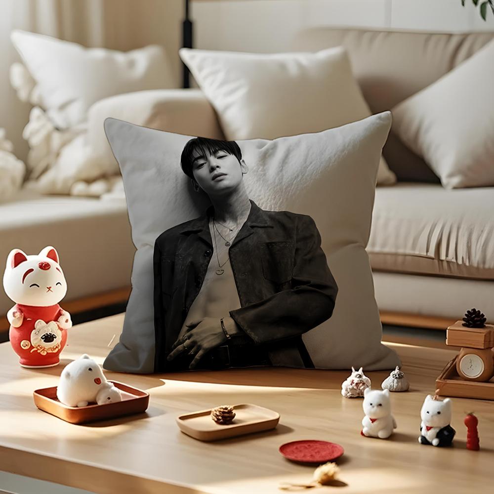 Singer Cha E-Eun W-Woo Cushion Cover Silky Short Plush With Invisible Zipper Dustproof Sofa Pillow Cover For Home Decor
