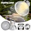 Reptile Heating Lamp Turtle Basking Halogen Light Bulb Heating Light Full Spectrum Sunlamp for Lizards Amphibians 25/50/75W