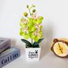 Love Pot Phalaenopsis Potted Green Plant Decorations For Home Decor Ideas Gift