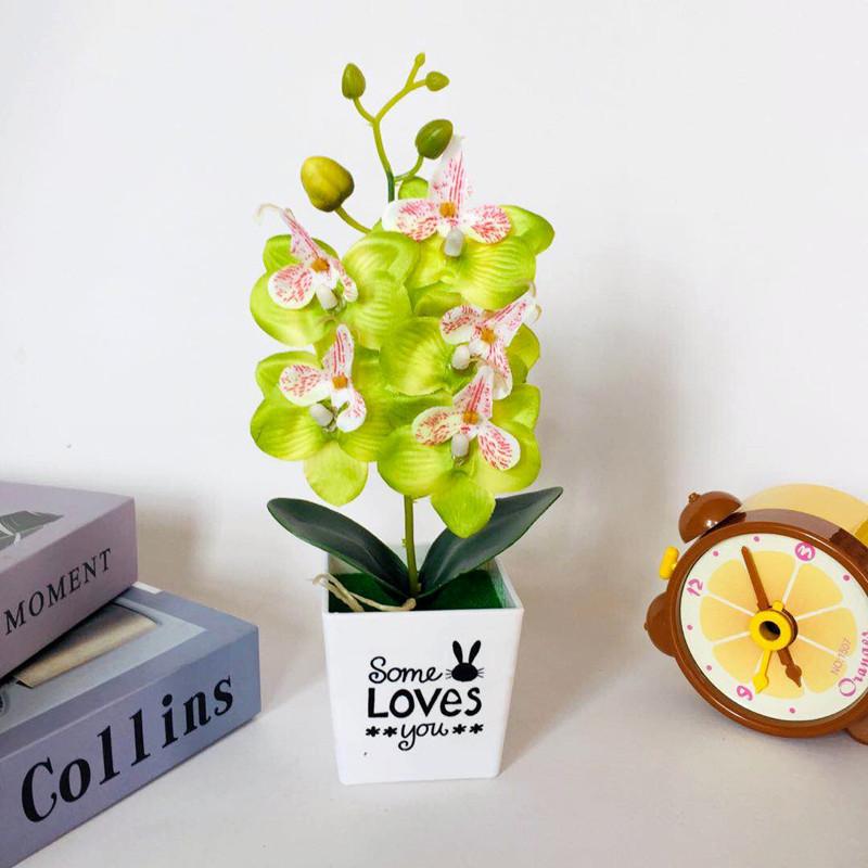 Love Pot Phalaenopsis Potted Green Plant Decorations For Home Decor Ideas Gift