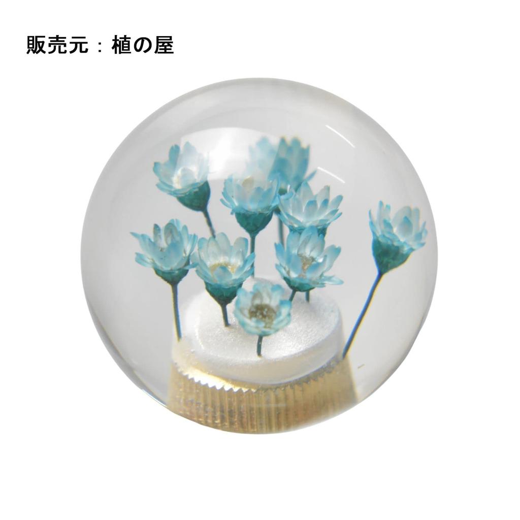 JINGLING Unterwasser Blume Schaltknauf Gangknauf Kristall Universal Kugelform AT MT Auto